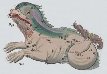 Cetus