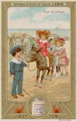 Children Having Donkey Rides