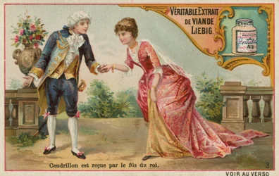 Cinderella Meets the Prince