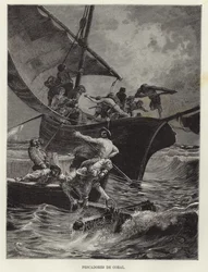 Coral Fishermen