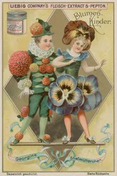 Dahlia and Pansy