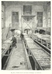 Fish Farming Establishment of Huningue, Interior View (engraving)
