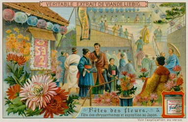 Festivals of the Chrysanthemums in Japan