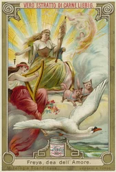 Freyja, goddess of love