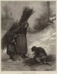 Gathering Wood