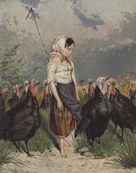 Girl looking after a flock of turkeys
