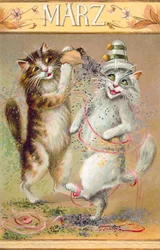 Humorous cat postcard
