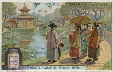 Kite flying festival in the imperial gardens, China