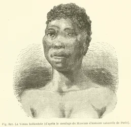 The Hottentot Venus, after the Moulding of the Natural History Museum of Paris