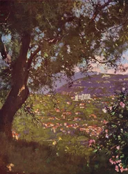 Nice, Cimiez and the Observatory from the Chateau