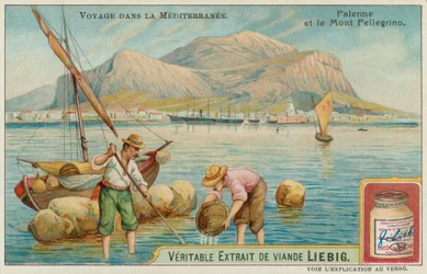 Palermo and Mount Pellegrino