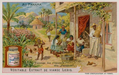 Panama Hats Being Made