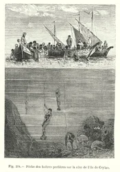 Pearl Oyster Fishing on the Coast of Ceylon (engraving)