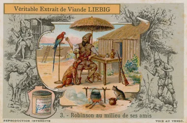 Robinson Crusoe with all his friends