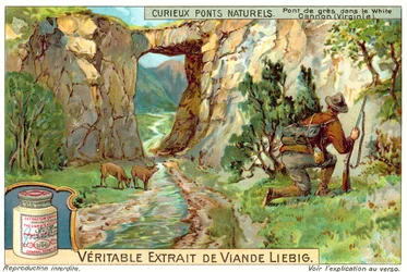 Sandstone Bridge in the White Canyon, Virginia