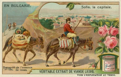Sofia and a trader transporting rose essence