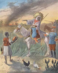 Swarm of locusts in Africa
