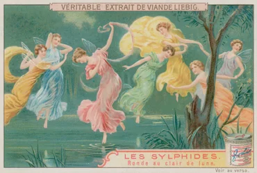 Sylphs Dancing in Moonlight