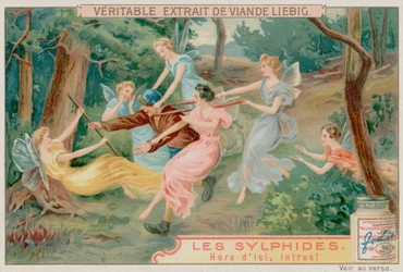 Sylphs and an Intruder