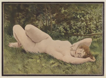 The Siesta