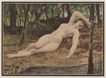 The siesta