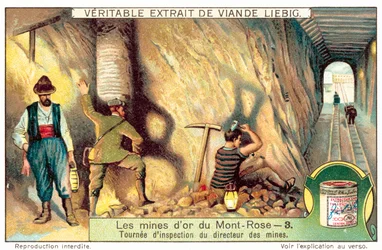 Tour of Inspection by the Director of the Monte Rosa Gold Mine