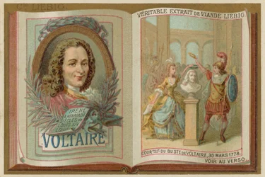 Voltaire