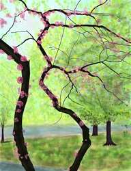 Blossoming Tree, Brooklyn