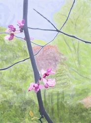Branch and Blossom