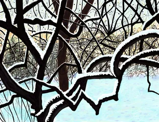 Cherry Tree In Snow, Brooklyn
