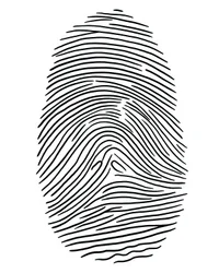 Drawing of a Fingerprint, Brooklyn
