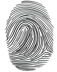 Drawing Of A Finger Print Brooklyn