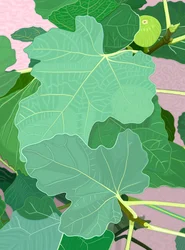 Fig Leaves and Fig
