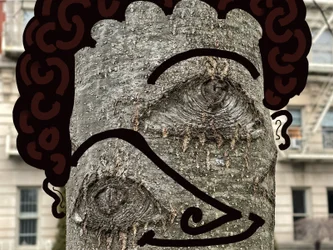 Illustration of Tree Face Using Photography and Drawing, Brooklyn