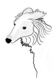 Line Drawing of Silken Windhound