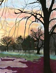 Prospect Park, Trees