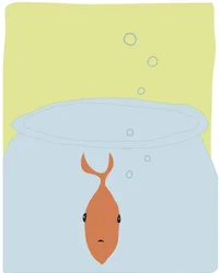 Single Goldfish In Bowl
