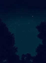 Stars in the Sky at Night and Outline of Trees