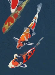 Three Koi