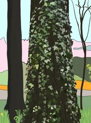 Tree with Ivy