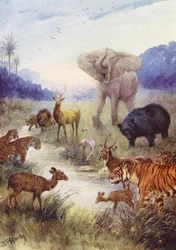 The Beasts of the Field