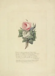 Roses with Silhouettes of the Royal Family, 1816