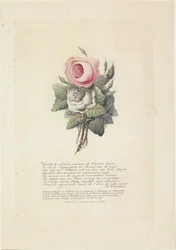 Roses with Silhouette Portraits of William I Frederick, King of the Netherlands, Wilhelmina of Prussia, Their Children, His Mother, and His Sister