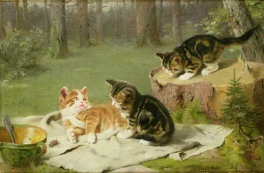 Kittens Playing