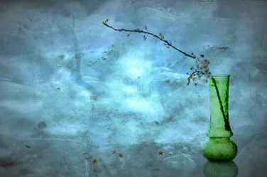Quiet Blue Blossoms