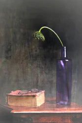 Wilted Bloom and Book