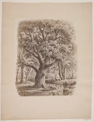 Forest Interior with a Stream and a Deer