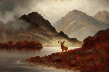 Stag at Bay