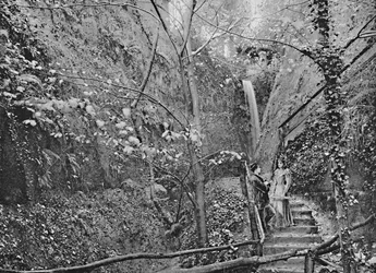 Shanklin Chine