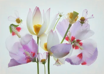 Ethereal Floral Composition